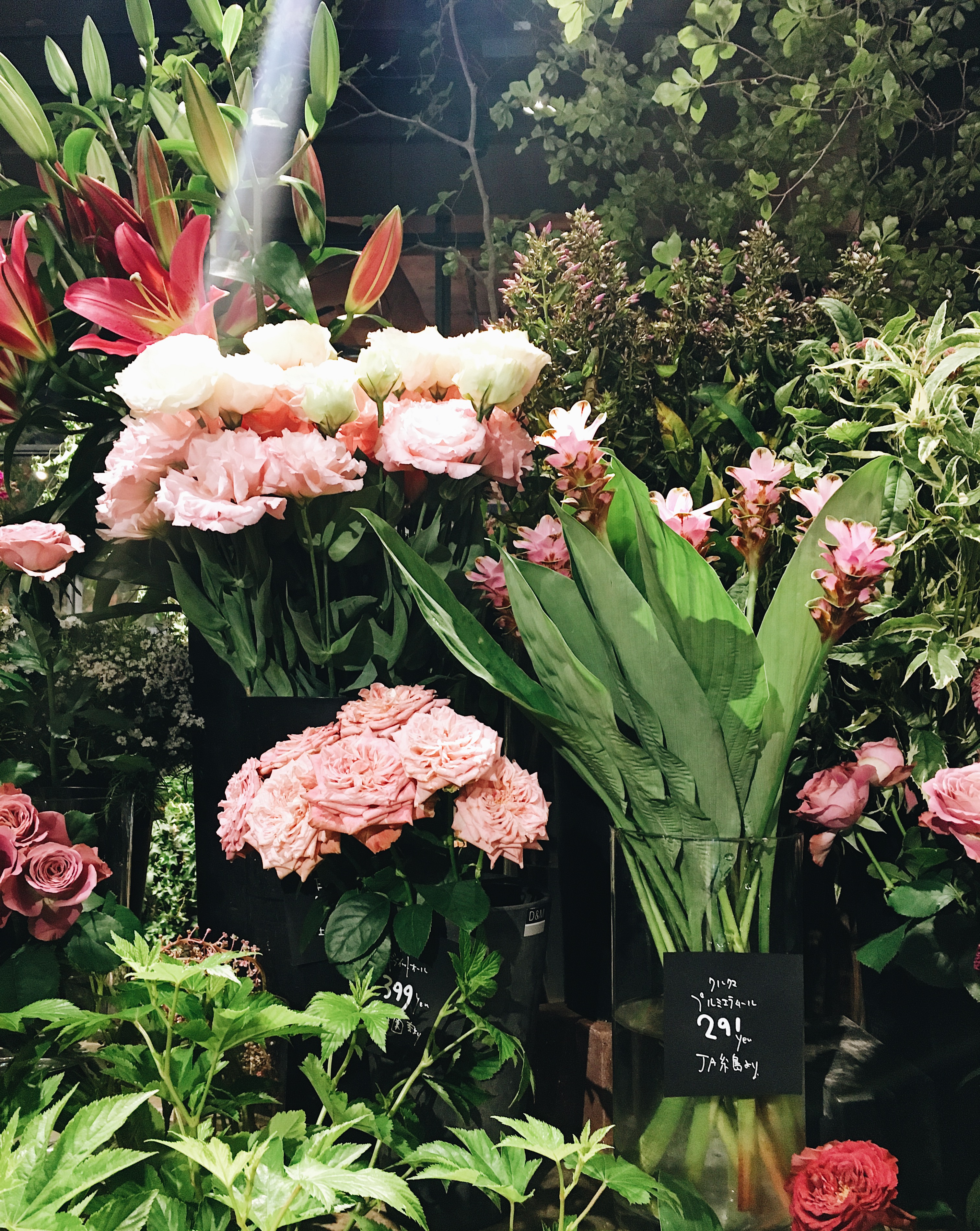 Aoyama Flower Market Tea House