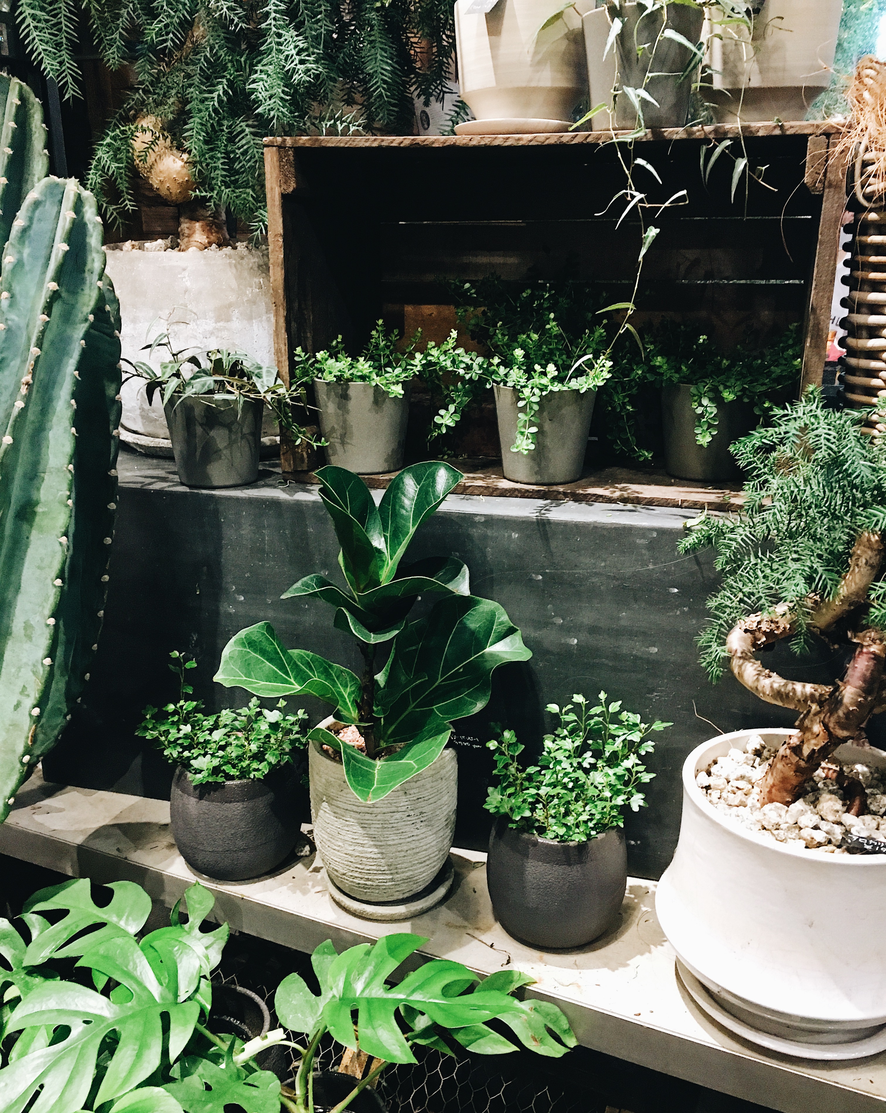 Aoyama Flower Market Tea House