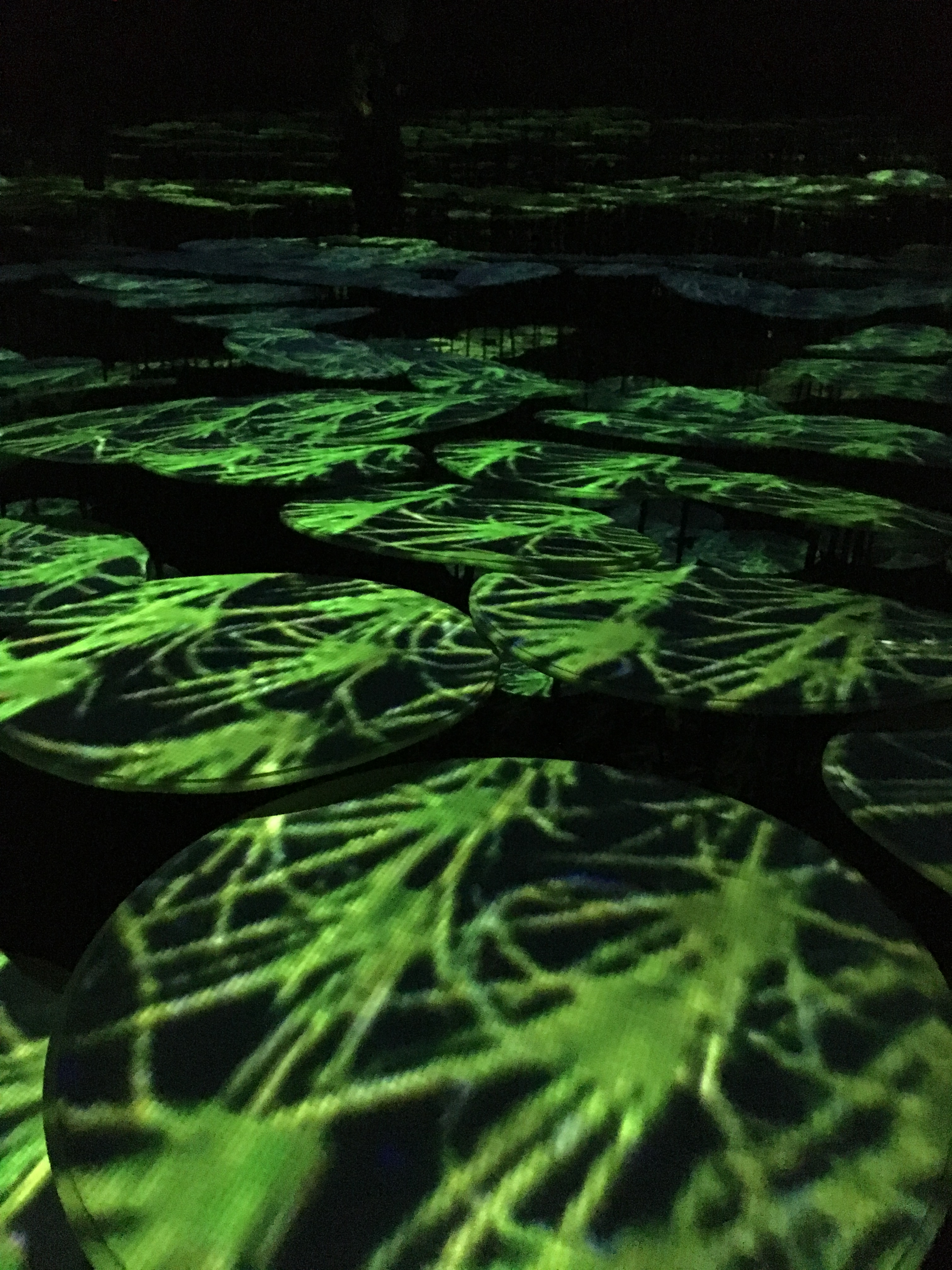 teamLab Borderless - Memories of Topography